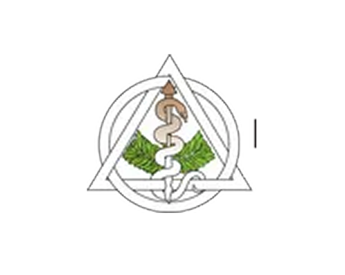 What is a Dental Implant